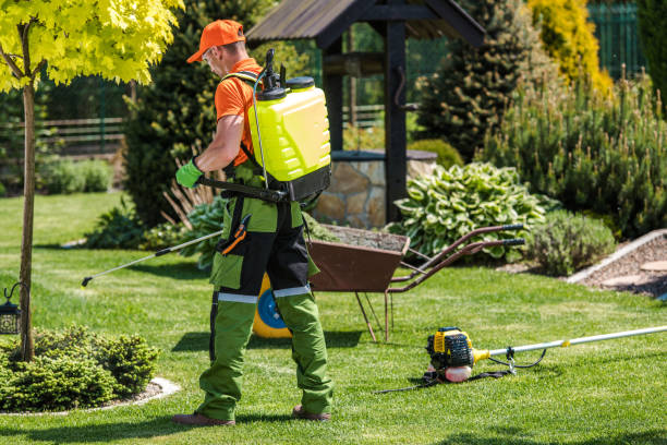 Best Mosquito Control  in Lake Leann, MI